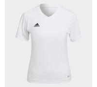 Maillot Entrada 22 White L