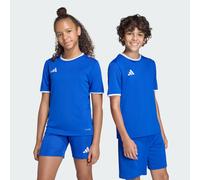Maillot Entrada26 Enfants Royal Blue / White 5-6A