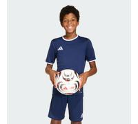 adidas Unisex Kinder Entrada26 Jersey Kids, Team Navy Blue 2/White, 15-16 Years
