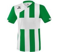 Maillot Erima Siena 3.0 XL Vert vert/blanc G