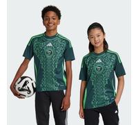 Maillot Extérieur Algérie 24 Enfants Mineral Green 9-10A