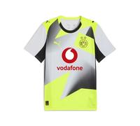 Maillot Extérieur Borussia Dortmund 2025/26 Gris S Male