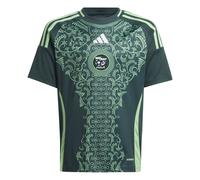 Maillot Extérieur enfant Algérie 2025 Vert 9/10 ans Unisex