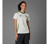 Maillot Extérieur Irlande du Nord 25 (Équipe féminine) White Tint / Gold Rw M