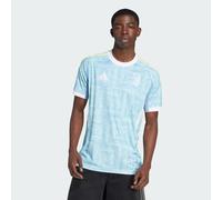 Maillot Extérieur Juventus 25/26 Ash Blue M