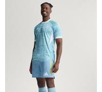 Maillot Extérieur Juventus 25/26 Authentique Ash Blue S