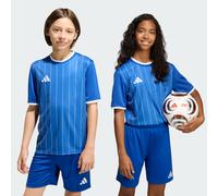 Maillot graphique Entrada26 Enfants Royal Blue / White 13-14A