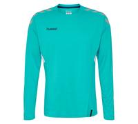 Maillot Hummel manches longues Tech Move Bleu 2XL