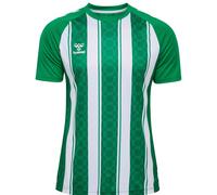 Maillot Hummel Match striped Vert M