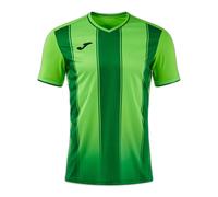 Joma Tiger Viii Short Sleeve T-shirt Vert 3XL