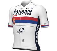 Maillot manches courtes BAHRAIN - VICTORIOUS Champion serbe 2024 bleu/rouge XL