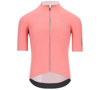 Q36.5 Dottore Pro Short Sleeve Jersey Rose L Homme Giro Pink