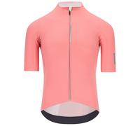 Q36.5 Dottore Pro Short Sleeve Jersey Rose 2XL Homme Giro Pink