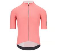 Maillot manches courtes Dottore Pro fuchsia