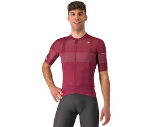 Maillot manches courtes Race GIRO D'ITALIA Trofeo 2024 bordeaux