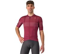 Maillot manches courtes Race GIRO D'ITALIA Trofeo 2024 bordeaux S
