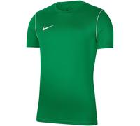 Nike T-shirt Dri-FIT Manches courtes Vert Homme 2XL