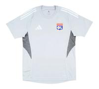 Maillot OL TR 2025/26 Gris S Male