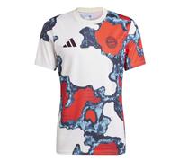 Adidas Fc Bayern 24/25 Pre Match Short Sleeve T-shirt Multicolore M Homme
