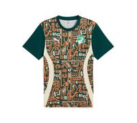 Vêtements Puma FIF Prematch SS Jersey pour Homme M Multicolore