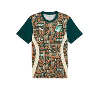 Vêtements Puma FIF Prematch SS Jersey pour Homme XS Multicolore