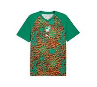 Maillot Prematch Côte d'Ivoire Coupe du monde 2026 - green/chocolate brown S