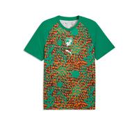 Puma Maillot Prematch Côte d'Ivoire Coupe du monde 2026 Vert/Chocolat Taille S