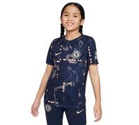 Maillot Prematch enfant Chelsea Dri-FIT Academy Pro 2024/25 Gris 10/12 ans Unisex
