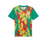 Puma Maillot D’Avant-Match Sénégal 2025 Homme, Sport, Sport Vert/Faster Jaune/Rouge, L