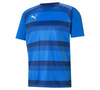 PUMA Homme Teamvision Jersey Tee Shirt, Bleu, L EU