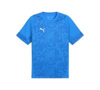Maillot Puma TeamCup Bleu XS Male