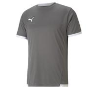Maillot Puma TeamLiga Gris XS Male