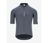 Maillot Q36.5 Dottore Pro manches courtes gris foncé - S