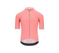 Maillot Q36.5 Dottore Pro Rose Giro, Taille XL