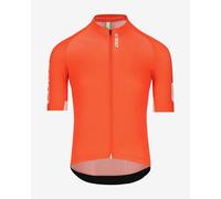 Q36.5 Gregarius Pro Signature Short Sleeve Jersey Orange XL Homme Tangerin Red
