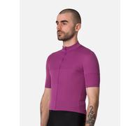 Rapha Brevet Element Short Sleeve Jersey Violet M Homme Amethyst / Sky Captain