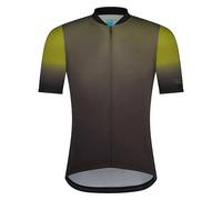 Maillot Shimano Evolve Avventura Vert