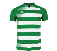 Maillot Stanno Synergy Vert 2XL