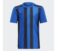 Maillot Striped 21 Royal Blue / Black 7-8A