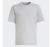 Maillot Tabela 23 Team Light Grey / White 13-14A