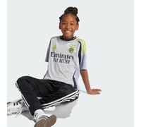 Maillot Third Benfica 24/25 Enfants Light Solid Grey 13-14A