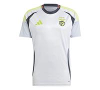 Maillot Third Benfica Lisbonne 2024/25 Gris XL Male