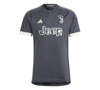 Maillot Third Juventus Turin 2023/24 Gris XL Male