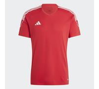 adidas Mens Jersey (Short Sleeve) Tiro 23 JSY, Tepore/White, HT6128, Size L