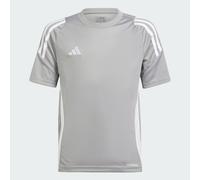 Maillot Tiro 24 Enfants Team Mid Grey / White 7-8A