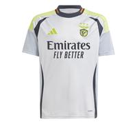Maillot Training enfant Benfica Lisbonne 2024/25 Gris 7/8 ans Unisex