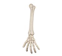 Main Squelette 46 Cm Halloween Taille Unique Jaune