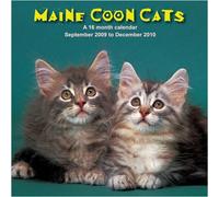 Maine Coon Calendrier mural 2010 Motif chats