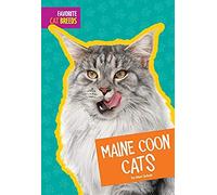 Maine Coon Cats