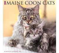 Maine Coon Cats 2026 12 X 12 Wall Calendar